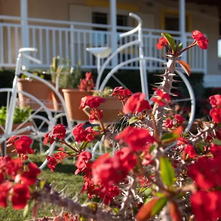 Fully Equipped House At Pachia Ammos